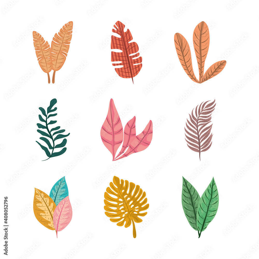 tropical leaf leaves foliage nature decoration icon set flat design