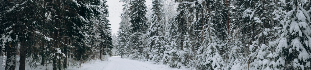 Winter spruce forest. snowy road with twists and turns. horizontal panoramic