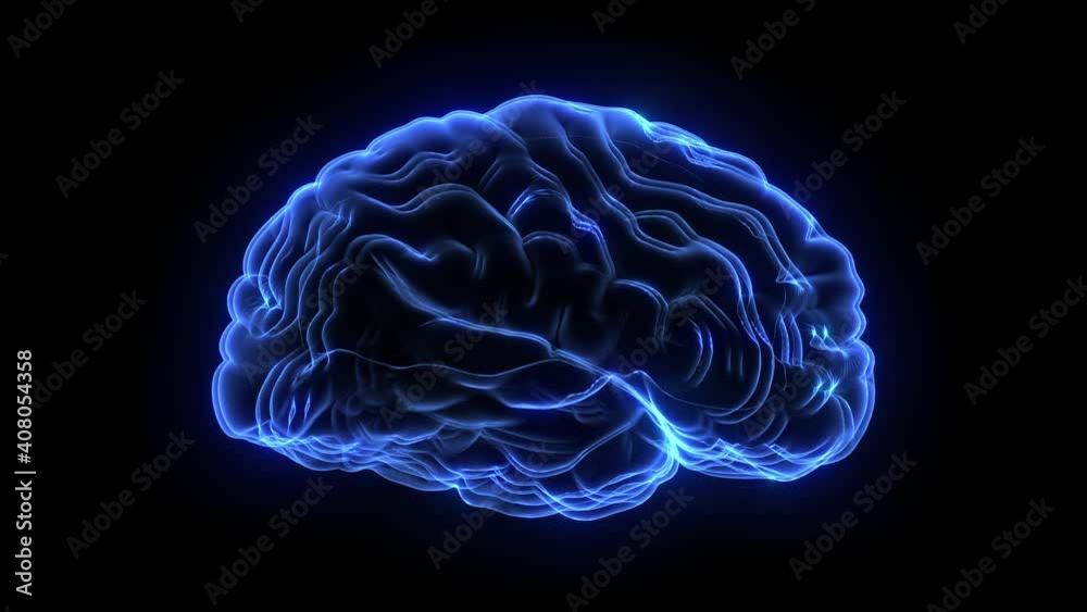 Holographic 3d image of human brain rotating against black background in seamless loop. Holographic 3d image of human brain rotating against black background in seamless loop.