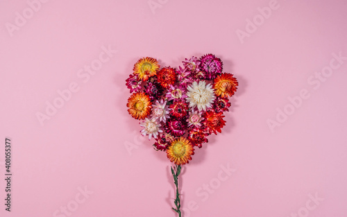 Flower in shape of a heart made of dried strawflower petals isolated on pink background. Pink Valentine's day background. Love concept. Strawflower background. photo