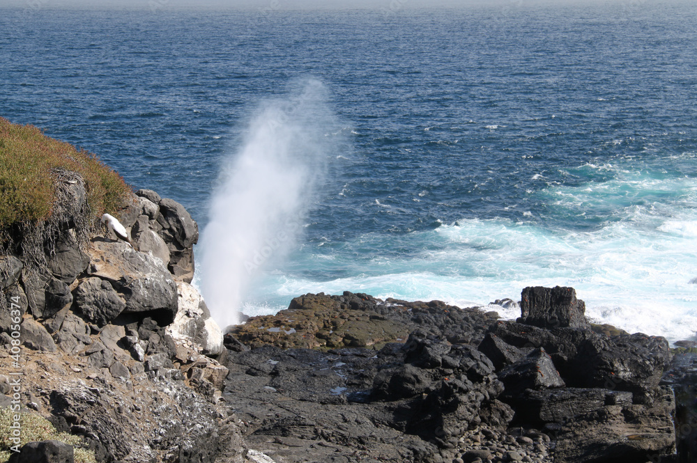 The geyser of the ocean in the Galapagos Islands