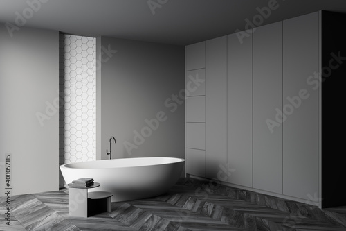 Stylish gray and white bathroom corner with tub