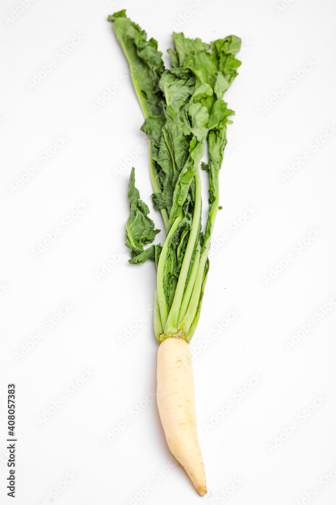 fresh white radish isolated on white background fresh white radish isolated on white background