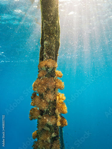 UnderWater