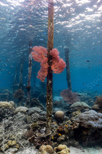 UnderWater