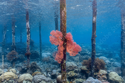 UnderWater
