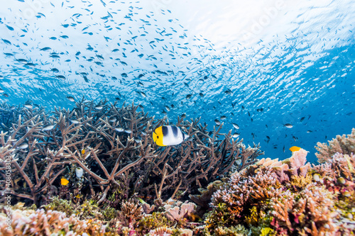 UnderWater