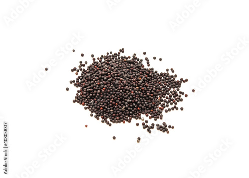 Studio shot heirloom Bok Choy Chinese cabbage seeds isolated on white background
