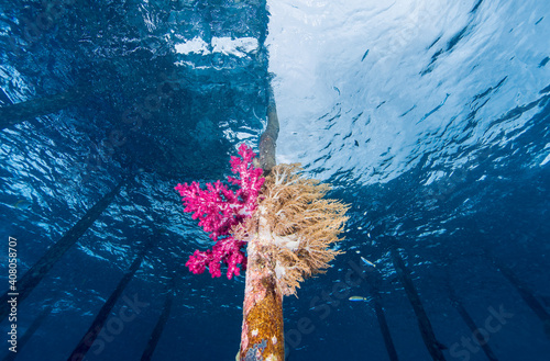 UnderWater