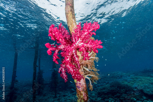 UnderWater