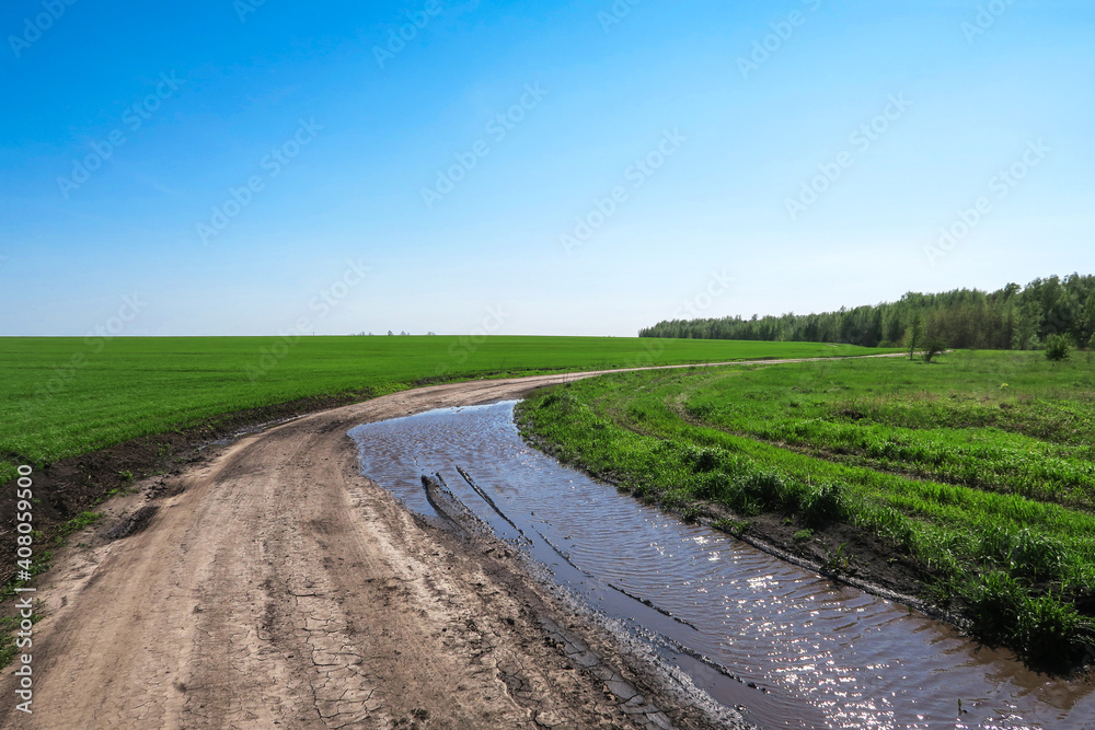 A dirt road with a large puddle of passing cars. A place where cars get into the mud and slip. A road along a field with green fresh grass.       