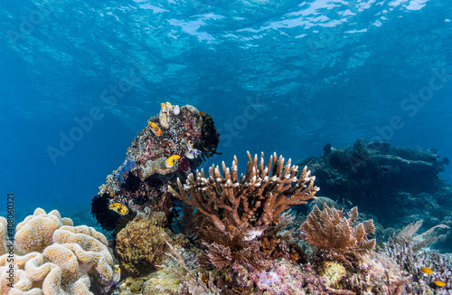 UnderWater