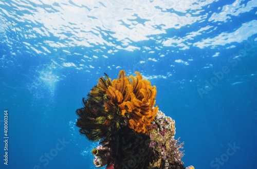 UnderWater