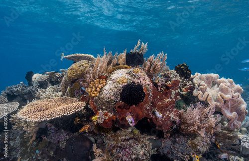 UnderWater