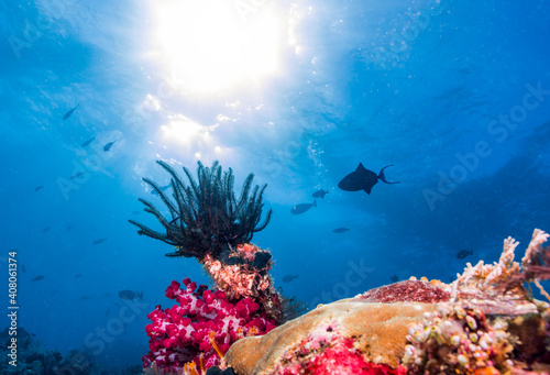 UnderWater