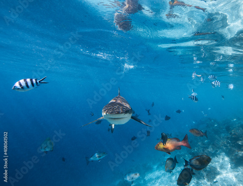 UnderWater