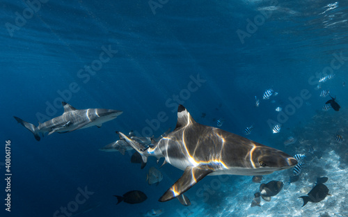 UnderWater