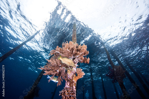 UnderWater