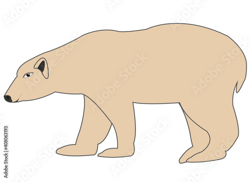 Wildlife polar bear type from the side
