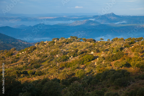 Bosque Mediterráneo, Parque Natural Sierra de Andújar, Jaen, Andalucía, España
