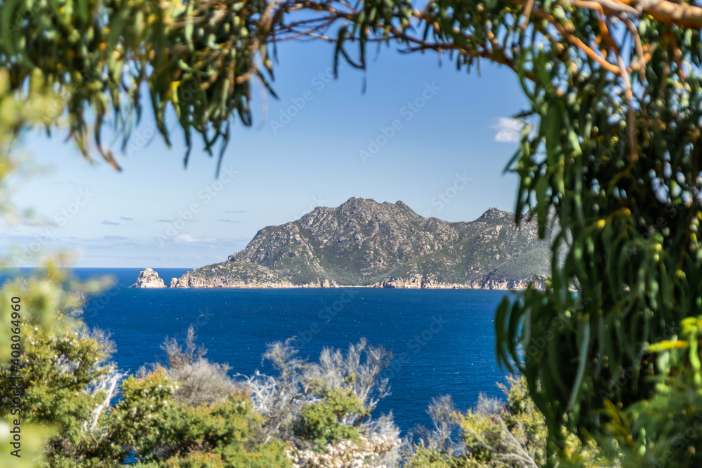 Panoramic view of Freycinet Peninsula, East Coast Tasmania, Australia, seen through blurry bushes at Cape Tourville Lighthouse. Mount Graham and Mount Freycinet are the highest peaks.(Selective Focus)