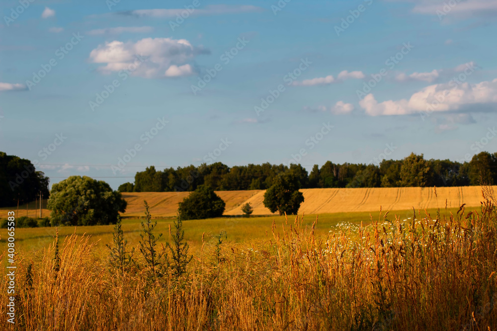 Fototapeta premium A beautiful farmland.Sunset over the tree.Raw.Image