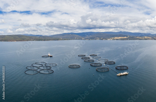 Panoramic aerial drone view of a large salmon fish farm (Aquaculture of salmonids) off the coast of Tinderbox in the local government area of Kingborough in the Hobart region of Tasmania, Australia.