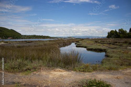 landscape with lake