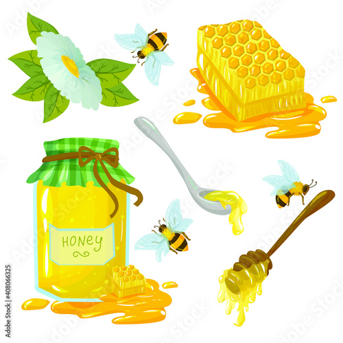 set of jars with honey and bees around. natural bee honey drawn in cartoon style vector illustration isolated on white background