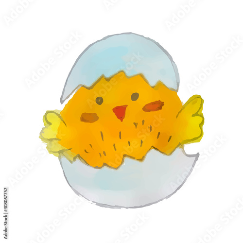 Yellow chicken hatched from the shell on a white background.
