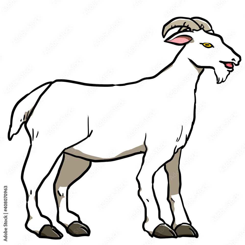 Simple illustration design of goat Simple illustration design of goat