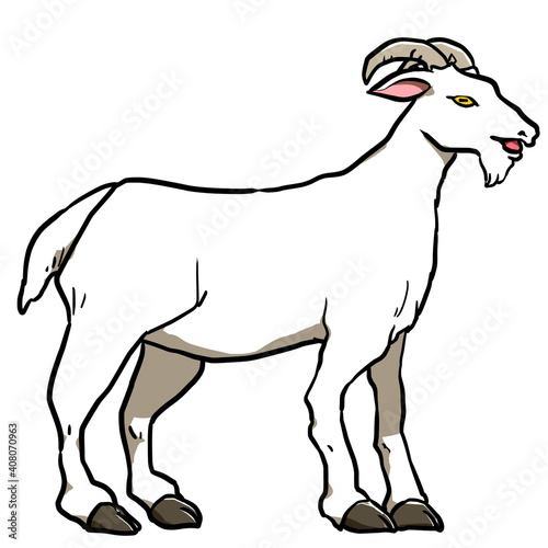 Simple illustration design of goat
