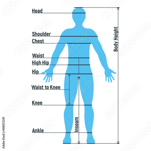 Male size chart anatomy human character, people dummy front and view side body silhouette, isolated on white, flat vector illustration.