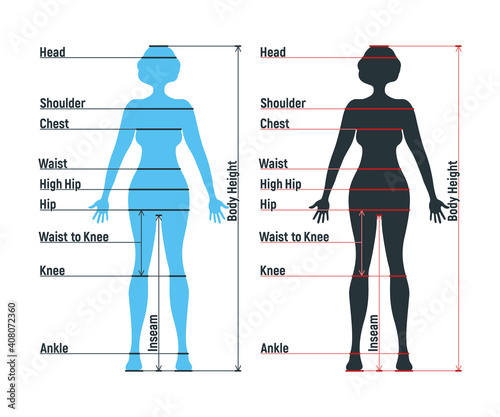Female size chart anatomy human character, people dummy front and view side body silhouette, isolated on white, flat vector illustration.