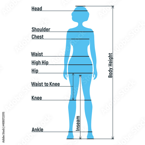 Female size chart anatomy human character, people dummy front and view side body silhouette, isolated on white, flat vector illustration.