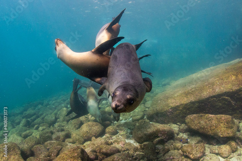 Underwater photography in Baja California Sur  Mexico