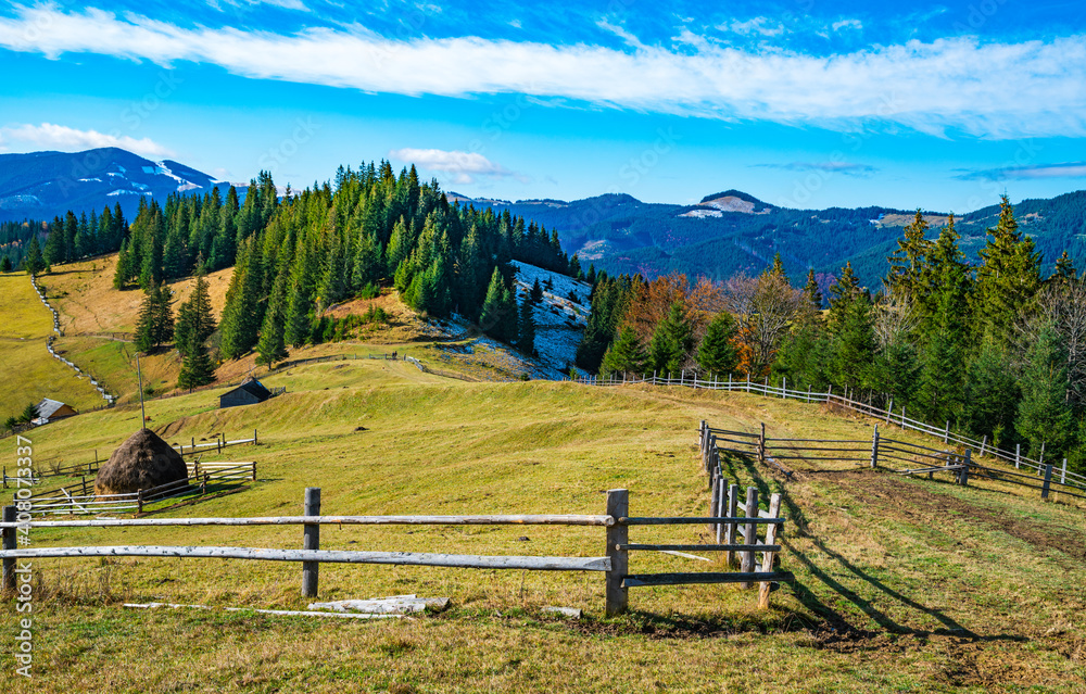 Bewitching beautiful summer landscape of green meadows