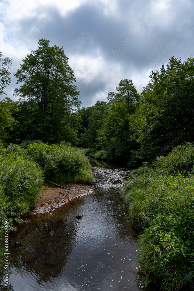 Obraz premium Stream in the Wilderness