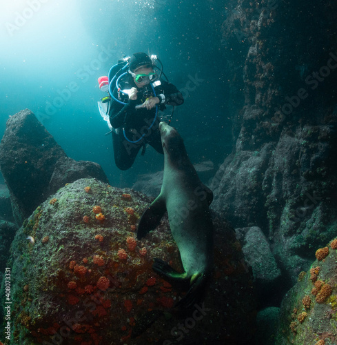 Underwater photography in Baja California Sur, Mexico