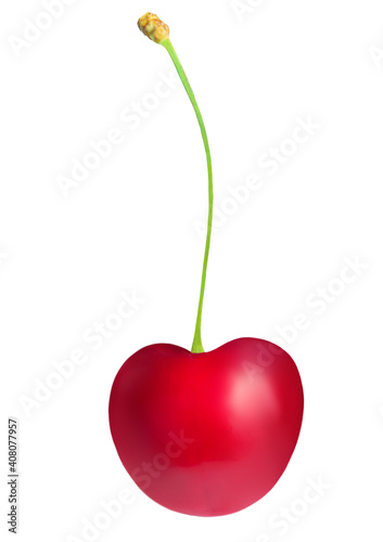 One Cherry isolated on white background.  Cherry berry close-up, studio shot.