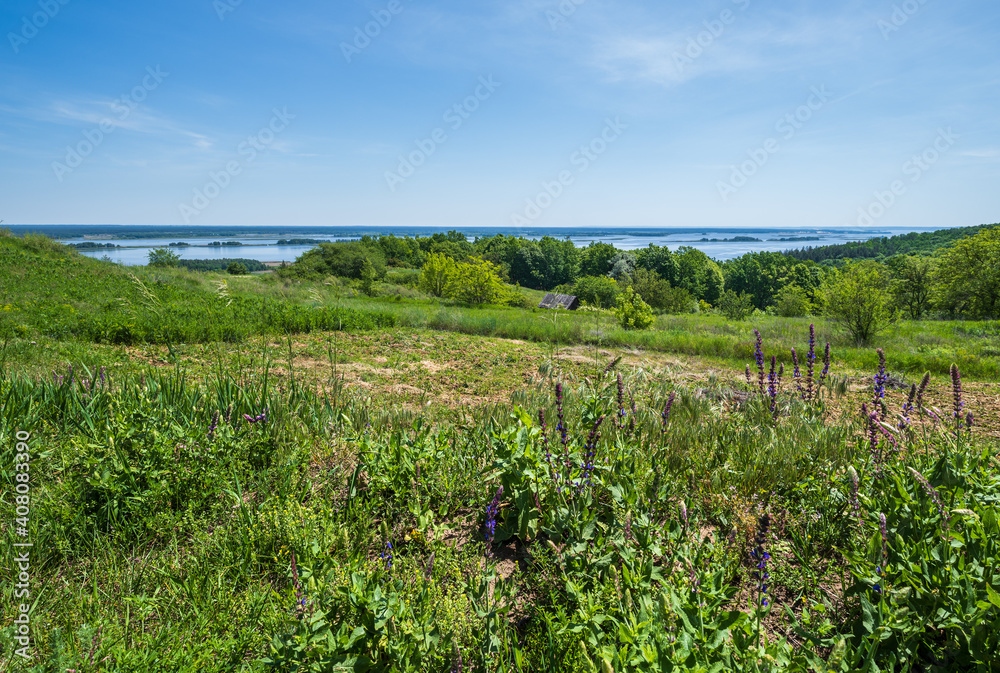 Dnipro river blossoming shores summer landscape, Kaniv water Reservoir, Kyiv Region, Ukraine.