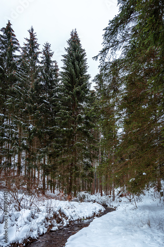 Sauerland mit Schnee im Winter photo