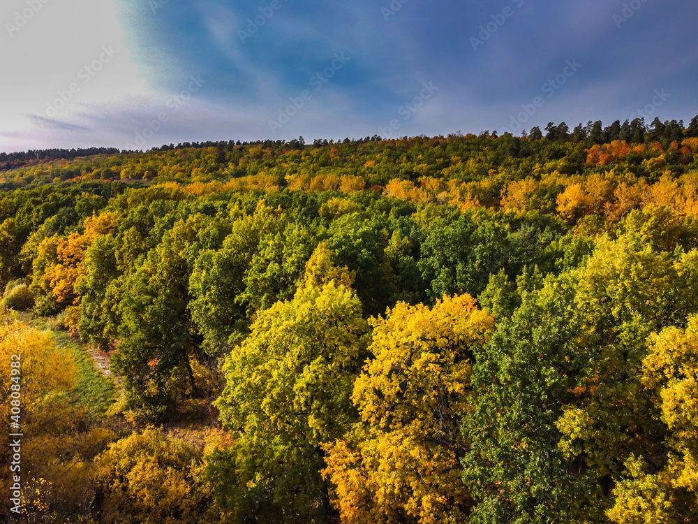 Aerial landscape view over colorful green and orange autumn forest in countryside in Samara region, Russia
