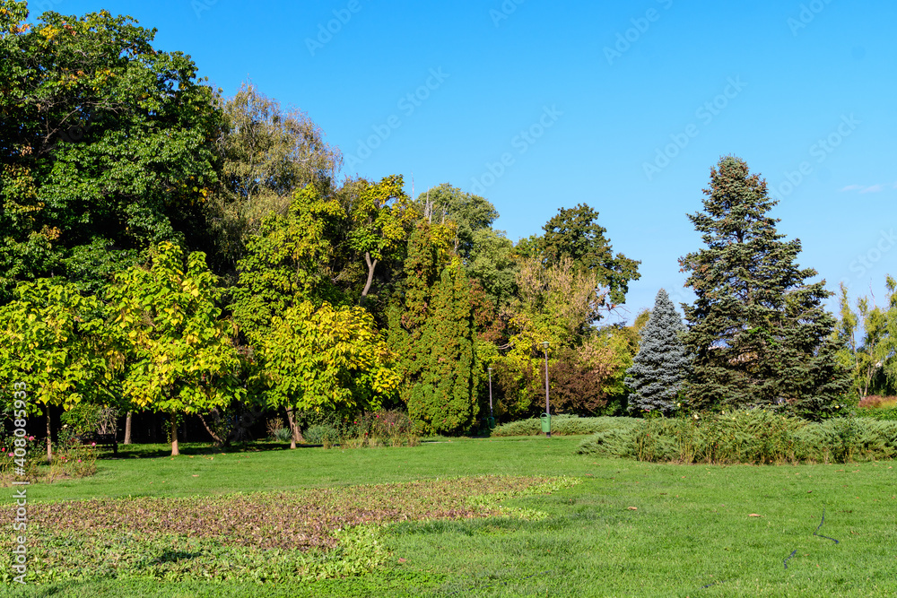 Naklejka premium Landscape with large green trees and grass in Herastrau Park in Bucharest, Romania, in a sunny autumn day.