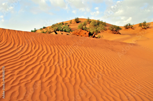 View of the Sahara desert in Morocco