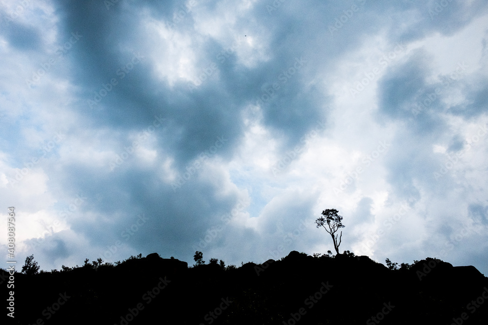 silhouette of a tree on a mountain