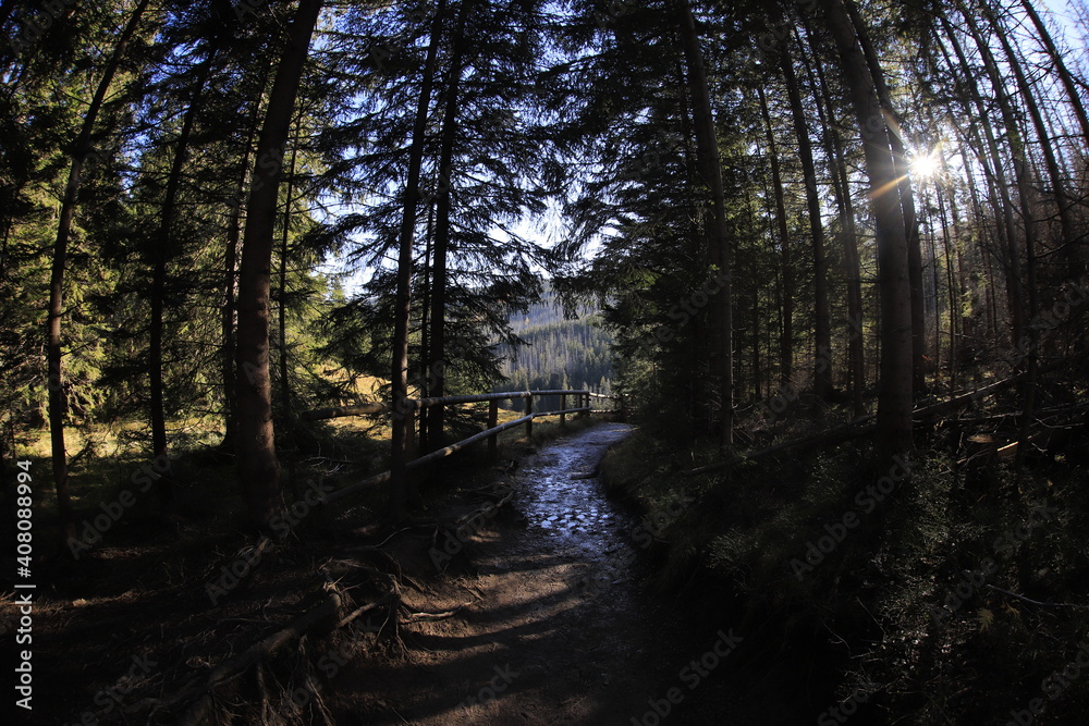 Fototapeta premium Tatra Mountains Olczyska Valley in Autumn