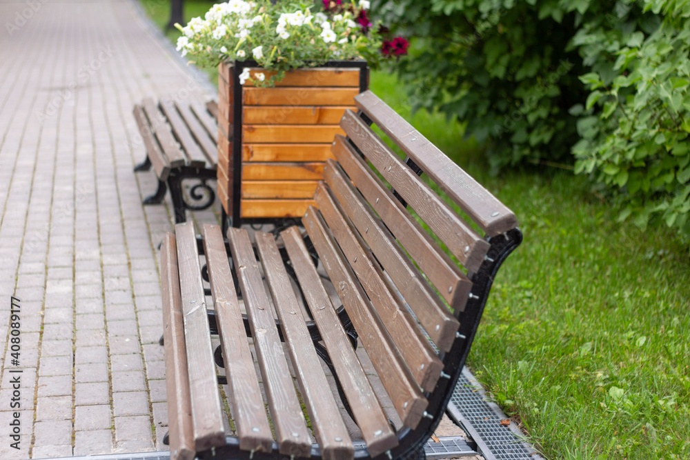 Fototapeta premium Wooden benches in the park line the sidewalk.