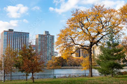 Queensbridge Park in Long Island City Queens New York during Autumn with Colorful Trees along the East River