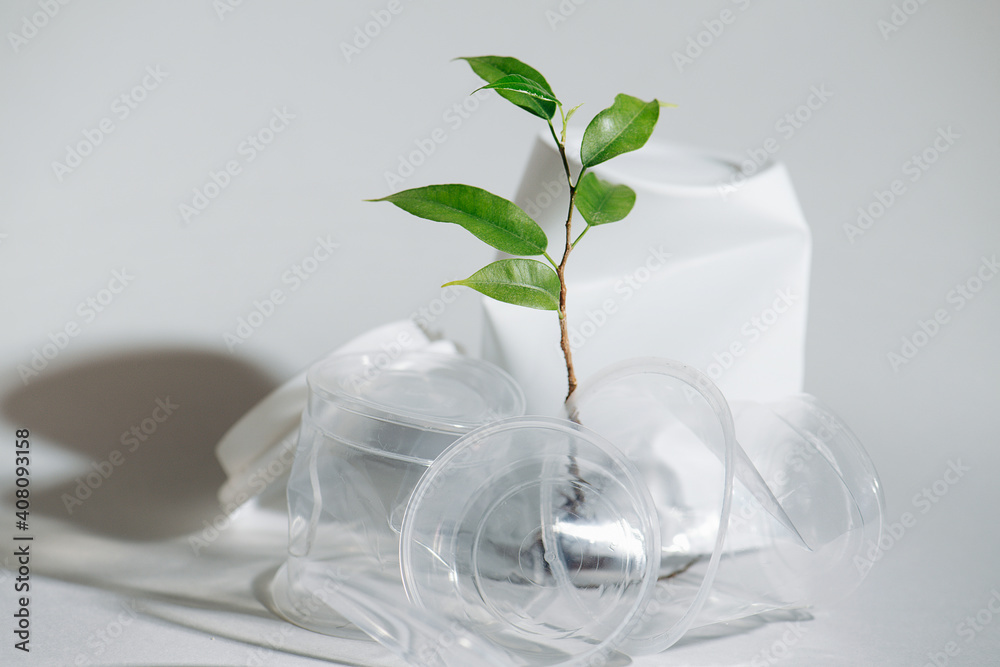 Tiny tree seedling in between crumpled plastic cup. Plastic pollution and preserving ecosystem concept. Over white background. Tiny tree seedling in between crumpled plastic cup. Plastic pollution and preserving ecosystem concept. Over white background.